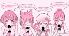 ゼノブレ2パーティメンバー