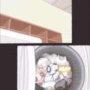 某有名女子校女子寮洗濯機盗撮(差分追加)