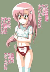 体操服のヒナギク