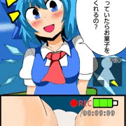 mission①｢霧の湖でチルノのパンツを盗撮せよ！｣