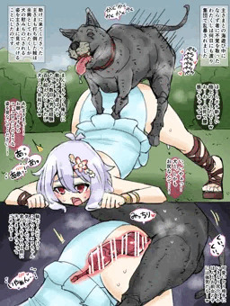 コッコロVS犬