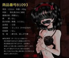少女オークション入札画面