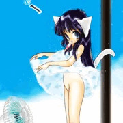 猛暑日お見舞い。