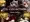 CG Collection Vol.1