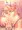 超乳サキュバス
