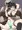 異種