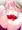 マコちゃん巫女コス(すけべ)