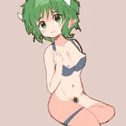 ドラコ色々研究