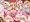 パイスクールＷＸＹ図鑑６発売中！