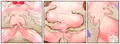 母乳あふれるボテ腹少女のぐちょぐちょな痴態