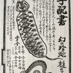 芽愛海月（メメクラゲ）