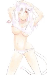 ねこさん