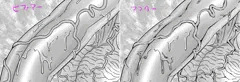 血管の描き方