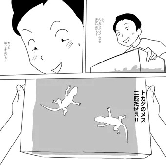 トカゲマンコ
