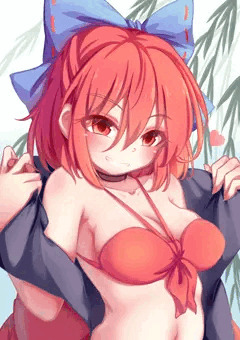 水着赤蛮奇