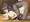 友達の母に筆おろししてもらって…