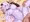 イチャラブ青肌っクス