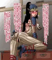 終の住処をみつけた紅影