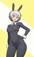 全バニー