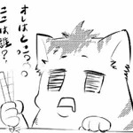 猫法寶禁令
