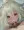 ぞーいちゃん