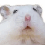まうまう