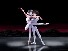 パ・ド・ドゥを踊る王子の思考断片