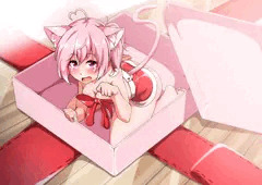 【依頼】箱からニャー
