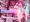 魔法少女あかり