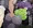 巨乳眼鏡妻にセクハラ（尻）