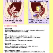 自分のふたなり設定