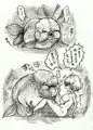 らんちうの苗床にされる話