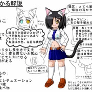 設定資料Ver4くらい