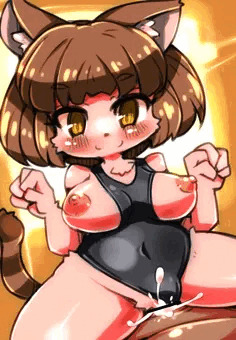 競泳水着猫