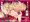 BUZAMA東方　DL