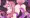 テレサちゃんミニゲーム！