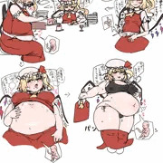 フランちゃん肥満化妊婦