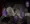 バニーちゃんの公開セッ〇スショー