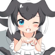 イロワケイルカ
