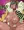 セレブタ
