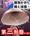 丸呑み→吸収→進化（総集編２）