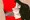 P5 川上貞代イラマチオGIF