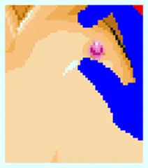 つまんでコリコリ