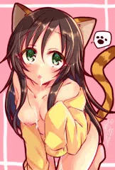 ゆきにゃん