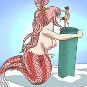 しらほし