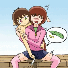 しかえし