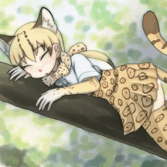 オセロットは夜行性だから日中は木の上や茂みで休むんだって
