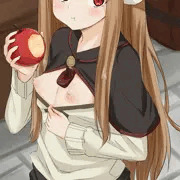 ホロ