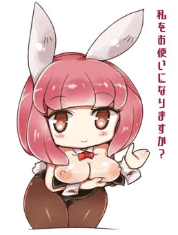 バニーさん