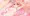 うちのこ